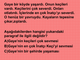 5.sınıf türkçe paragraf okuma anlama çalışma sunusu