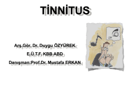 Tinnitus - Prof Dr. Mustafa Erkan