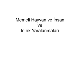 Memeli Hayvan ve İnsan ve Isırık Yaralanmaları