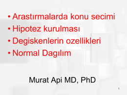 Murat Api