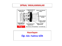 spinal otomatizm
