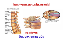 intervertebral disk hernisi
