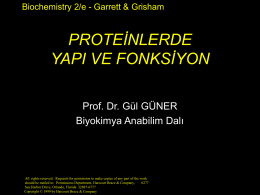 Proteinlerde yapı düzeyleri