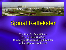 6 The Spinal Cord - Cumhuriyet Üniversitesi Tıp Fakültesi