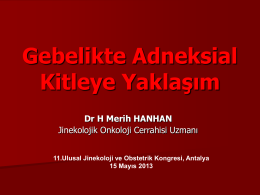 Merih Hanhan - Türk Jinekoloji ve Obstetrik Derneği