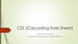 CSS Giriş - Personel Web Sistemi