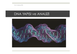 11. DNA Yapısı ve Analizi.pptx
