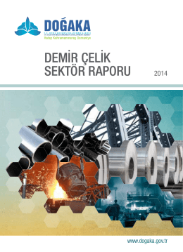 Demir Çelik Sektör Raporu 2014
