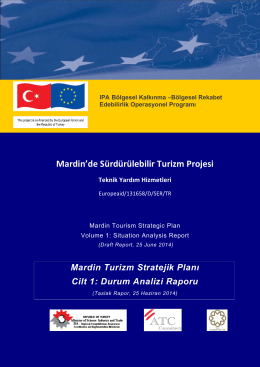 Taslak Rapor 1 - Mardin Sürdürülebilir Turizm Projesi