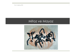 2. Mitoz ve Mayoz.pptx - Prof. Dr. Bektaş TEPE