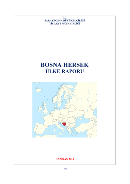 Bosna Hersek Ülke Raporu