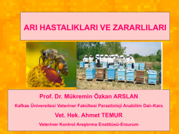 Arı Hastalıkları - Akademik Bilgi Sistemi