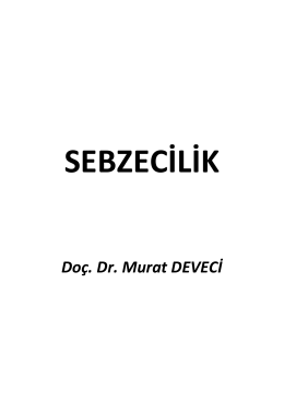 Doç. Dr. Murat DEVECİ - E