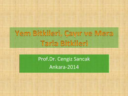 Prof.Dr. Cengiz Sancak Ankara