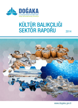 kültür balıkçılığı sektör raporu