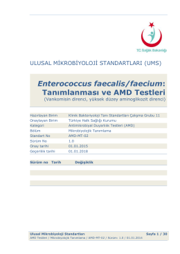 Enterococcus faecalis/faecium ve AMD testleri