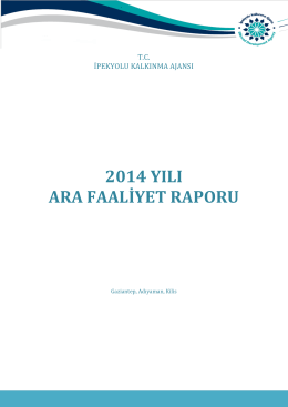 İKA 2014 Ara Faaliyet Raporu