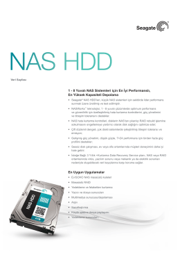 NAS HDD Veri Dosyası