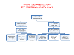 türkiye sutopu federasyonu 2015 yılı milli takımlar