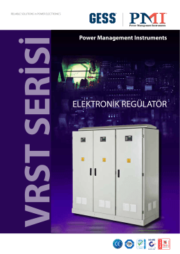 ELEKTRONİK REGÜLATÖR