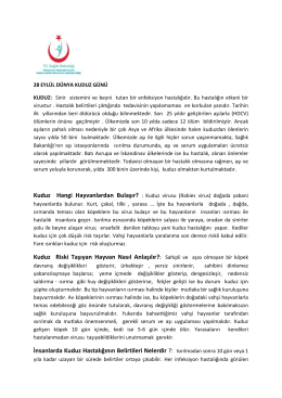Dünya Kuduz Günü - İstanbul Anadolu Güney Kamu Hastaneleri Birliği