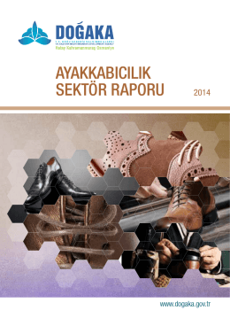 ayakkabıcılık sektör raporu