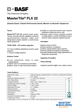 MasterTile® FLX 22