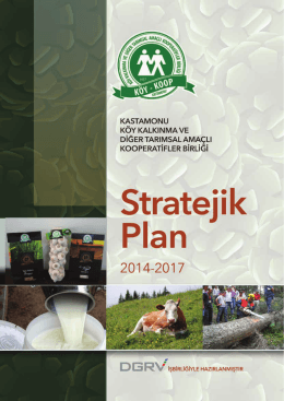 stratejik plan 2014 - Kastamonu Köy koop