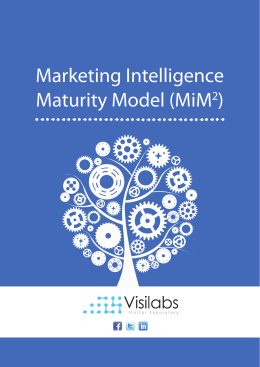 Marketing Intelligence Maturity Model (MiM2)