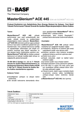 MasterGlenium® ACE 445 (Eski adı GLENIUM® ACE 445