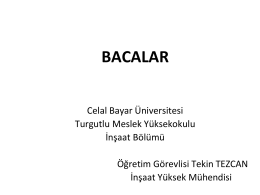 bacalar - Celal Bayar Üniversitesi