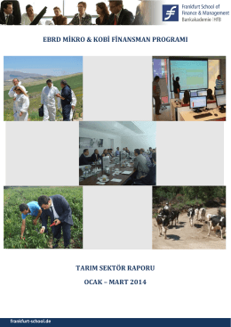 Tarım Sektör Raporu Ocak - Turkey MSME Finance Facility