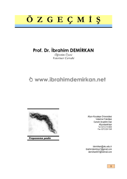 ÖZGEÇMİŞ (Tıklayınız) - Prof.Dr.İbrahim Demirkan