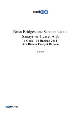 Brisa Bridgestone Sabancı Lastik Sanayi ve Ticaret A.Ş.
