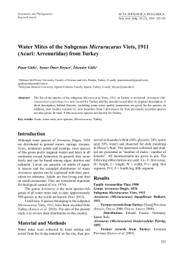 Water Mites of the Subgenus Micruracarus Viets, 1911 (Acari