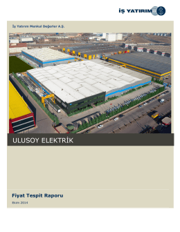 Ulusoy Elektrik Fiyat Tespit Raporu