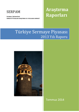 Türkiye Sermaye piyasası Raporu 2013