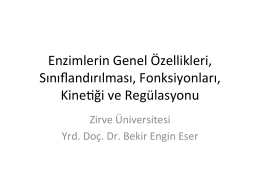 Enzimler - Fizyoterapi - 26.11.2014