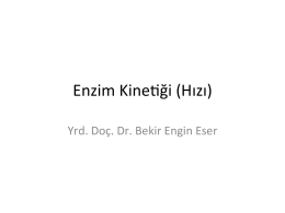 Enzim Kinemği (Hızı)