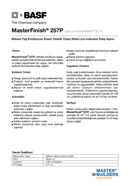 MasterFinish® 257P (Eski adı REHOFINISH® 257 P