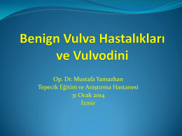 Vulvanın benign hastalıkları ve vulvodynia – Op. Dr. Mustafa