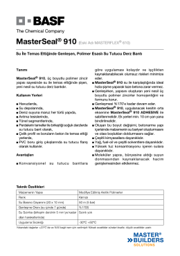 MasterSeal® 910 (Eski Adı MASTERFLEX® 610) Su İle