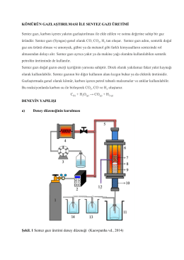 Deney 7: Borusal Akım Reaktörü: Gaz Adsorpsiyonu