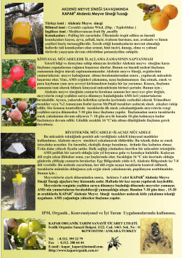 Akdeniz Meyve Sineği - Kapar Organik Tarım
