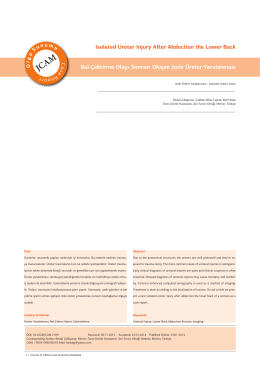 Isolated Ureter Injury After Abduction the Lower Back Bel Çektirme