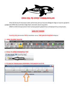 orka sql fiş girişi tanımlamaları