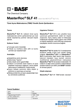 MasterRoc® SLF 41 (Eski Adı MEYCO® SLF 41) Tünel