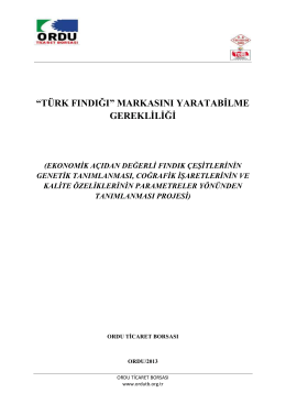 “türk fındığı” markasını yaratabilme gerekliliği