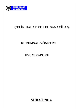 Kurumsal Yönetim İlkelerine Uyum Raporu(Şubat 2014)