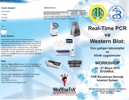 Real-Time PCR ve Western Blot: